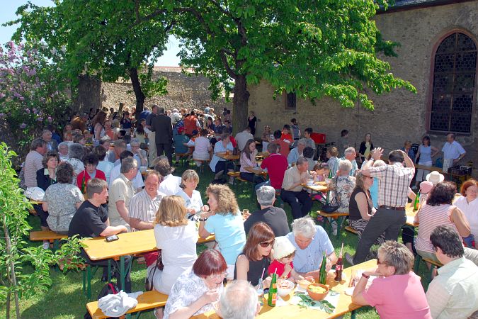 In Schatten der Bäumes, Foto: Rodi_9672_675x450